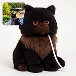 A fluffy black cat with striking amber eyes sits calmly on a wooden deck, wearing a harness and leash, surrounded by lush greenery and garden furniture on a sunny day.