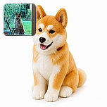 A cheerful, pointy-eared dog sits outside the window like a fluffy neighborhood security guard, patiently waiting for someone to open the door while a garden, lawn, and a suspiciously nearby baby walker complete the scene.