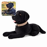 A handsome black dog lounges in the grass like a fully licensed park supervisor, tongue peeking out while autumn leaves, a leash, and a softly blurred brick-wall background complete the portrait.
