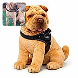 A wrinkly dog wearing a harness labeled 'TAGS' sits attentively on a patch of green turf, one paw resting on a colorful soccer ball. The background is a mix of foliage and outdoor furniture, giving a casual backyard vibe.