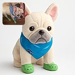 A French bulldog wearing a blue bandana and green doggy shoes stands on a wooden floor, giving a side-eye glance that screams both curiosity and mild judgment.