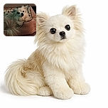 A fuzzy, low-light photo of a small fluffy dog lounging on a patterned cushion inside a cozy pet bed, with the image grainy enough to make you squint and wonder if the dog is a ghost or just really sleepy.