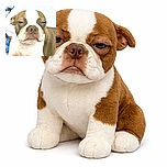 A close-up photo of a brown and white dog with a sleepy or unimpressed expression, lounging on a blue blanket with a white background. The image has a grainy texture and moderate lighting.