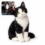 A curious black and white cat with striking yellow eyes looks up from a cozy perch, its whiskers twitching as if plotting a secret mission. The background shows a homey corner with a textured rug and some hanging clothes, adding a touch of everyday charm.