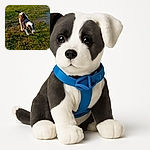 A lively black and white dog captured mid-run on a grassy field, with motion blur adding a sense of speed and excitement to the scene.