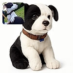 A charming black and white dog with a curious gaze rests its paws on a person's knee outdoors, surrounded by lush greenery and soft natural light, capturing a tender moment of companionship.