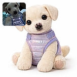A cute puppy wearing a shiny, reflective blue vest looks directly into the camera with soulful eyes, reaching out a paw as if asking for a cuddle or a treat, set against a soft background inside a car.