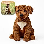 A striking brindle dog sits attentively on a patch of grass, its white chest markings standing out against its rich brown coat. The background is softly blurred, highlighting the dog’s calm and focused expression as if it’s patiently waiting for its next adventure.