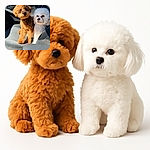 Two adorable fluffy dogs, one caramel-colored and the other white, sitting side by side on a car seat, soaking up the sunlight streaming through the window, looking curiously at the camera with their soft, curly fur glowing.