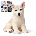 A cozy selfie featuring a person gently holding a calm white puppy with large ears, both looking straight at the camera. The background shows a casual indoor setting with shelves and colorful items, adding a homey vibe to the warm moment.