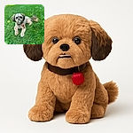 A fluffy small dog with a quirky underbite lounges on lush green grass, looking curiously at the camera with a mix of charm and mischief, while a red tag dangles from its collar and a soft blurred background adds to the peaceful outdoor vibe.