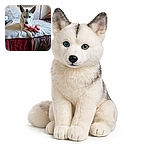 A white dog with striking heterochromia eyes lounges on a bed, gripping a pink stuffed toy bear with its paws. The cozy room features a textured wall with a faded car image, colorful bedding, and soft natural light, creating a warm and intimate scene.