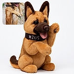 A lively German Shepherd dog named Naya strikes a playful pose on her hind legs with one paw raised, tongue out and eyes bright, against a rustic stone wall and gravel background.