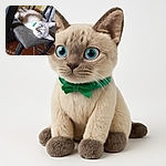 A fluffy cat with striking blue eyes lounges upside down on a textured gray chair, looking curiously at the camera with a green collar adding a pop of color, set against a cozy indoor background with tiled floor and furniture.
