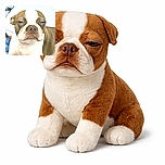 A close-up of a sleepy Boston Terrier with droopy eyes and a serious expression, lounging comfortably on a soft blue blanket with a white pillow in the background.