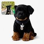 A charming black dog with a white chest patch sits attentively on a rocky ledge beside a vibrant turquoise stream surrounded by lush green foliage, looking ready for an outdoor adventure.