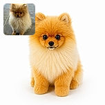 A tiny fluffy Pomeranian sits proudly on the tiled floor, looking like a pocket-sized cloud that has just been promoted to head of household. Its giant curious eyes and extravagant mane make it appear ready for a very serious meeting about snacks.