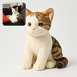 A curious kitten with white and tabby fur is comfortably curled up on a black cushion, with an orange pillow adding a pop of color to the cozy indoor setting. The kitten's wide eyes and alert ears make it look like it's ready to pounce or pose for a portrait.