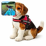 A happy beagle wearing a red service dog harness stands proudly on the front of a blue kayak in a marshy area with tall grass and trees in the background. A person's feet are visible inside the kayak, adding a relaxed, adventurous vibe to the scene under a clear blue sky.