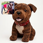 A happy dog with a shiny red spiked collar grins up at the camera while lounging on a patio surrounded by woven outdoor furniture and a bright red cushion in the background.