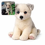 A wide-eyed white puppy sits like it’s auditioning for the role of 'Most Adorable Roommate' — big dark button nose, little speckled ears, and paws planted on a green blanket with a cozy bed and a playpen in the background. It looks part confused, part ready for snacks, and 100% likely to steal your socks (and your heart).