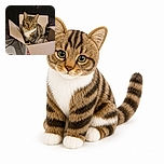 A serious-looking tabby cat sits proudly inside an open cardboard box, as if it has just claimed the world's least comfortable throne. Its raised tail adds a dramatic flourish, while tangled cables and tiled flooring complete the wonderfully ordinary household scene.