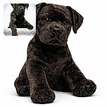 A black dog leans over a textured surface, looking curiously with one paw extended forward. The background is plain and softly lit, focusing all attention on the dog's expressive posture.