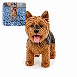 A cheerful scruffy little dog stands proudly on a bed of blue gravel, tongue hanging out like it just won a very serious backyard sprint. Its pointy ears are on high alert while flower boxes and brickwork give the scene a cozy garden backdrop.