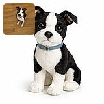 A cute black and white puppy sits attentively on a wooden floor, looking up with big curious eyes, as if waiting for a treat or a belly rub.
