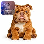 A wrinkly bulldog puppy sitting on a carpeted floor next to a wooden piece of furniture, staring with a serious yet adorable expression. The lighting casts a soft glow highlighting the puppy's face and chest.
