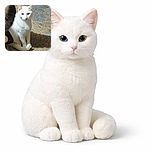A white cat with a slightly serious expression sits on a textured carpet next to a dark object, possibly another cat, casting a shadow on the floor. The lighting highlights the cat's fur and eyes, creating a calm indoor scene.