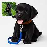 A happy black dog sitting in a lush green field with small white flowers, tongue out and leash visible, surrounded by vibrant greenery and a hedge in the background.