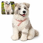 A muddy white dog proudly sits on a patchy lawn with a wooden stick in its mouth, showing off its recent adventure in the dirt while the rustic backyard stairs add a cozy, lived-in vibe.