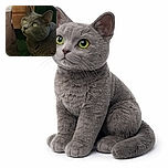 A serene gray cat with mesmerizing green eyes lounges on a patch of artificial grass, gazing upwards with curiosity. The cozy wooden furniture and a brown and white bag add a homey vibe to this peaceful indoor moment.
