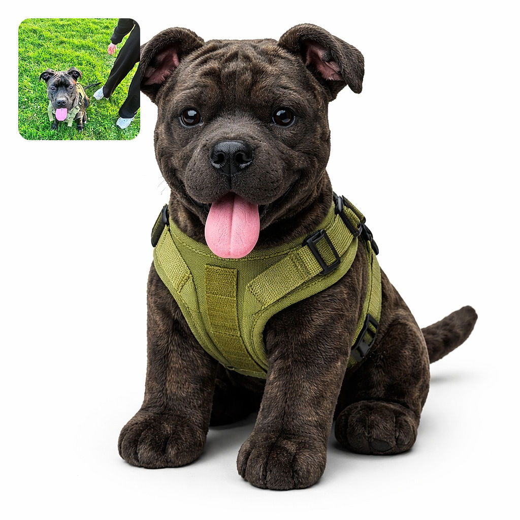 A happy black dog with a harness is sitting on lush green grass with its tongue out, looking eagerly at the camera while a person in black pants and white sneakers stands nearby, suggesting a playful outdoor moment.