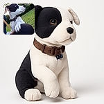 A charming black and white dog with a curious gaze rests its paws on a person's knee outdoors, surrounded by lush greenery and soft natural light, capturing a tender moment of companionship.
