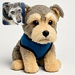 A close-up photo of a scruffy dog with soulful eyes, wearing a black and blue jacket, resting on a textured dark blue surface, looking both curious and slightly melancholic.