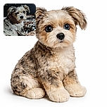 A charming small dog with a unique blue eye and fluffy fur is sitting on a cozy patterned blanket, looking curiously at the camera with its ears perked up, surrounded by soft textures and a warm indoor setting.