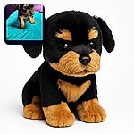 A tiny, fluffy puppy with big curious eyes is perched on a bright turquoise cushion, with a wavy purple pillow and dark purple couch in the background, looking ready to melt hearts everywhere.