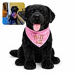 A happy black dog sits proudly on a cozy gray pet bed wearing a pink bandana that says 'Hug Me', tongue out and eyes bright, surrounded by a warm indoor setting with wooden floors and comfy furniture.