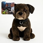 A dignified brindle dog lounges on a cozy brown couch, with a colorful green and gray blanket and a soft gray fabric nearby. The dog looks calmly at the camera with a poised expression, as light filters through a window behind.
