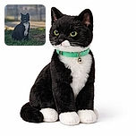 A sleek black and white cat sits gracefully on a patch of green grass, wearing a collar and gazing off to the side with curiosity. The background is softly blurred, featuring a fence and some trees under gentle daylight, giving the photo a calm and natural vibe.