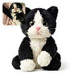 A wide-eyed black and white kitten lies on a soft pink blanket, looking adorably surprised with its paws curled up as if caught mid-stretch or mid-play.