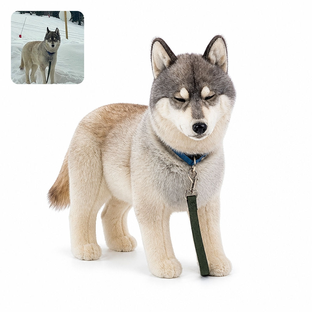 A majestic husky stands in deep snow like the mountain’s official security guard, giving the camera a serious “no snowballs without permission” stare while a leash trails dramatically in the foreground.