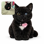 A charming black cat with heterochromia (one yellow eye and one blue eye) is cozily perched on a fluffy white blanket. The cat wears a pink heart-shaped tag that says 'Together Furever'. The background shows a colorful room with posters and string lights, adding a cozy vibe to the scene.