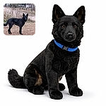 A sleek black dog stands alert on a leash in a brown grassy yard, ears pricked like tiny satellite dishes, staring at the camera with serious business energy while a quiet rural driveway and scrubby bushes sit in the background.