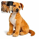 A sleek brown dog sits gracefully on the back of a couch, bathed in warm sunlight streaming through a nearby window, with a modern kitchen in the background.