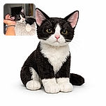 A relaxed black and white cat is lounging on a fluffy beige blanket, comfortably resting its head near a person's hand with a gray hair tie on their wrist, in a cozy indoor setting.