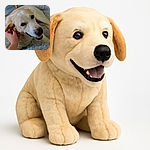 A happy dog lying on a fluffy rug, being gently scratched behind the ear by a human hand, looking content and smiling with a cozy indoor setting including chairs and a wooden floor in the background.