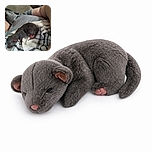 A tiny newborn puppy is curled up on a cozy patterned blanket, looking less like a guard dog and more like a sleepy fuzzy bean. A larger furry companion and a person’s legs surround the little nap champion in a snug indoor scene.
